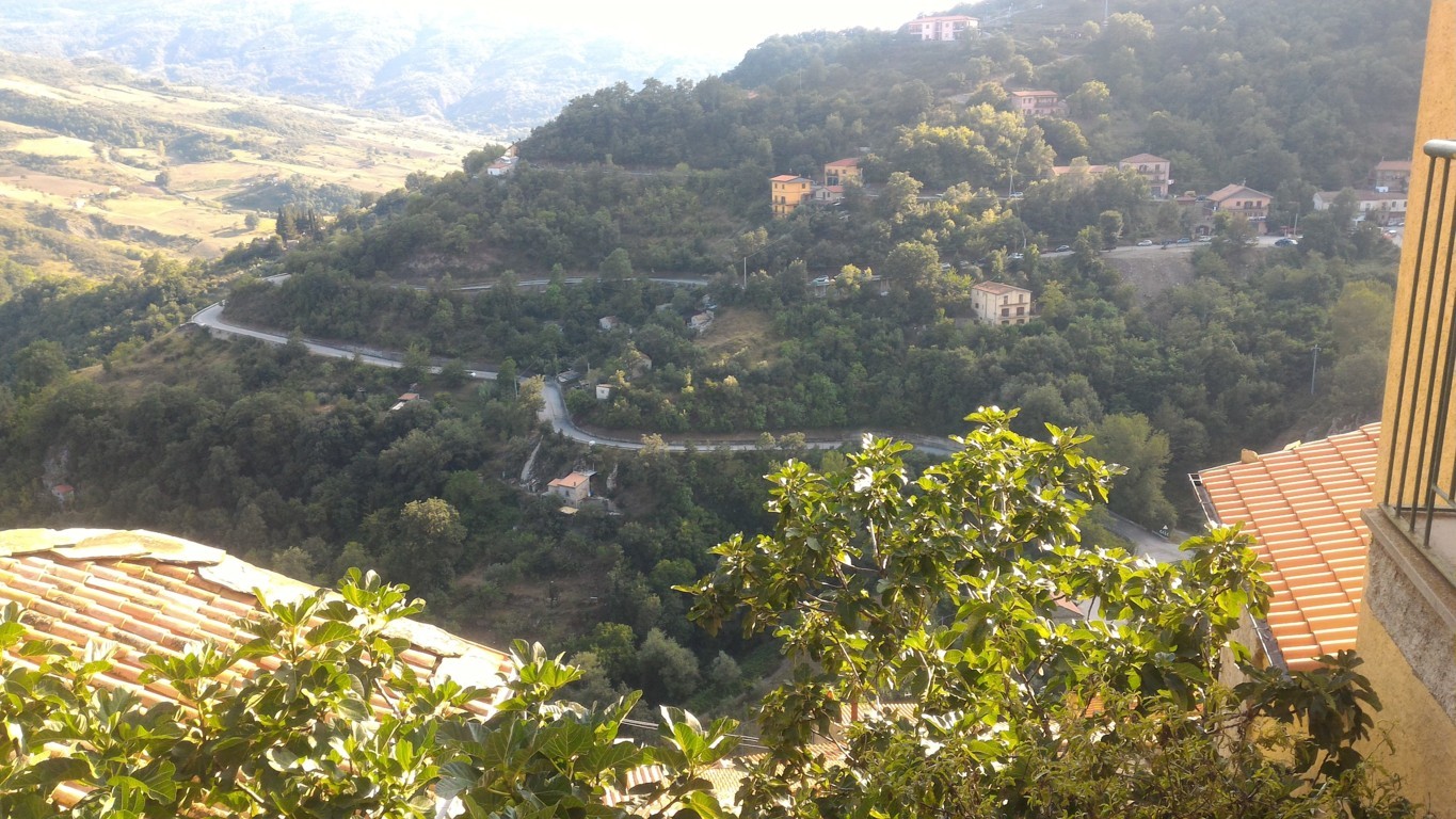 P_20160809_174401 .jpg
